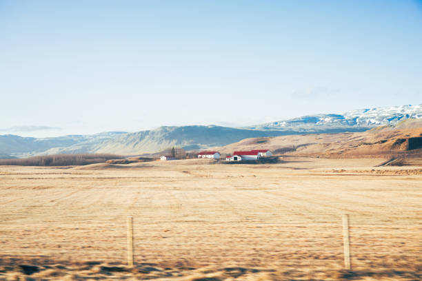 Icelandic road landscape at high speed