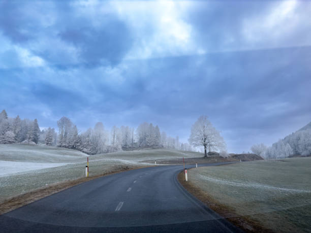 A scenic winding road through a frost-covered countryside, with snow-dusted trees and a lone tree standing prominently against a dramatic blue and gray winter sky. This tranquil winter scene captures the serene beauty of rural landscapes in cold weather.