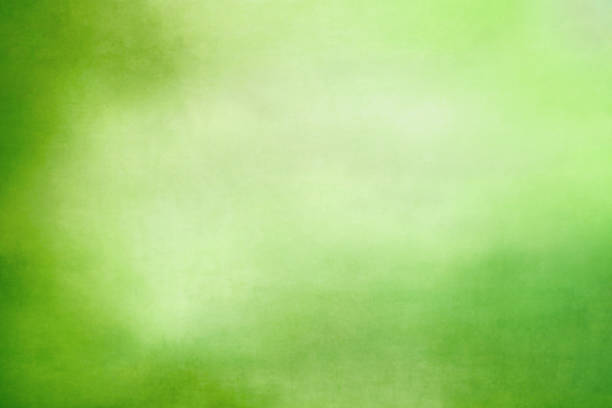 istock Beautiful green rustic background perfect for Saint Patricks Day 2196450352