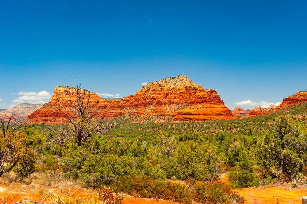 A serene desert landscape featuring a rugged red rock trail surrounded by shrubs and distant mesas under a bright, cloudless blue sky.