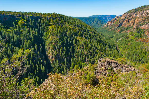 istock Oak Creek Vista in Arizona 2196456426