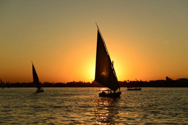 Felucca boats sailing at sunset.