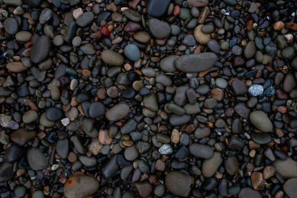 A diverse collection of smooth, multicolored pebbles forms a richly textured natural pattern. The stones, ranging from deep charcoal and slate gray to warm earthy browns, greens, and hints of red, glisten with moisture under soft, diffused light. Their rounded edges and polished surfaces reveal the effects of years of weathering and erosion, shaped by the forces of water and time. The close-up perspective highlights intricate details, including tiny veins, cracks, and color variations, creating a mesmerizing and organic mosaic. The damp stones contrast beautifully with occasional rougher textures, showcasing nature’s artistry in a simple yet visually captivating arrangement.