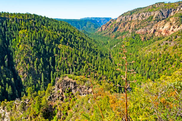 Oak Creek Vista Overlook offers spectacular views and is a must-stop between Flagstaff and Sedona.
