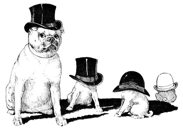 A group of dogs wearing hats, some being too big. Vintage etching circa 19th century.