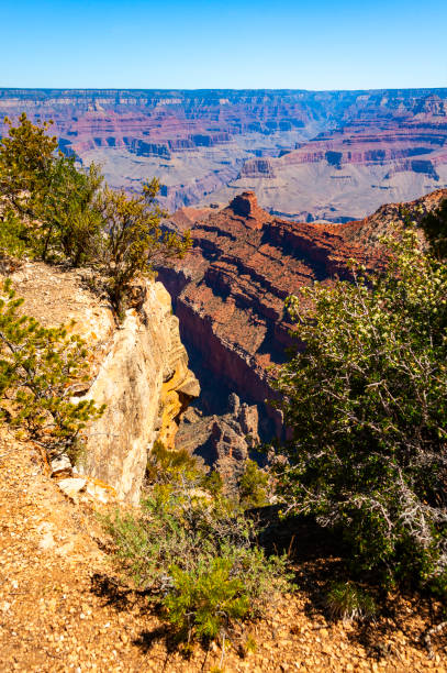 istock Grand Canyon National Park 2196459840