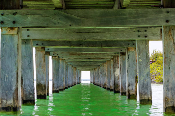 istock Under a pier in Bacalar Quintana Roo 2196461168