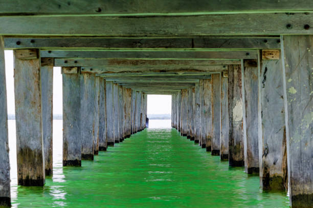 Under pier in Bacalar Quintana Roo