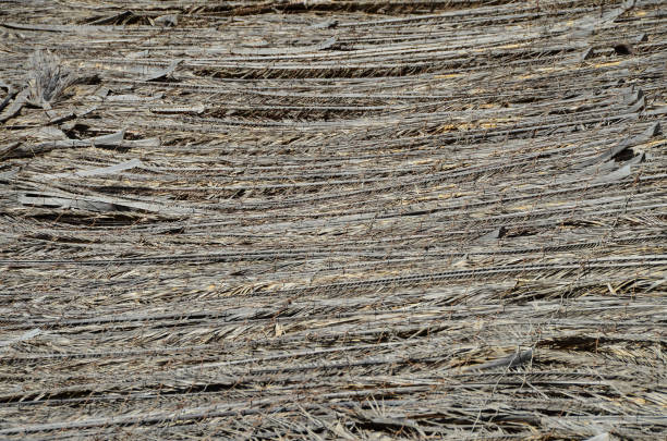 Texture of the classic thatch roof, tropical roofing