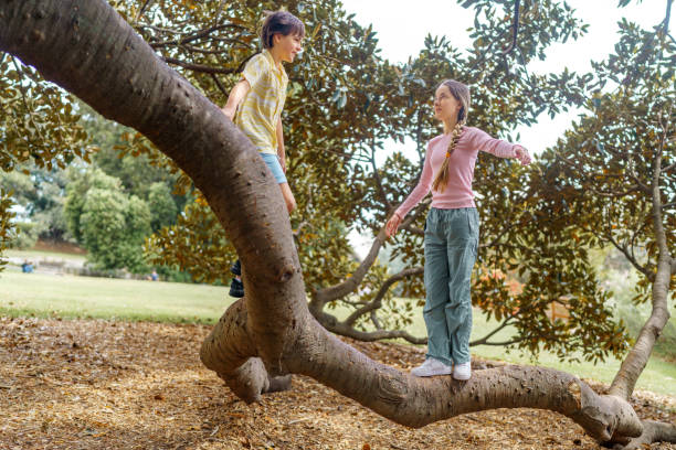 istock Brother and sister climbing a tree together, playing outside 2196462282