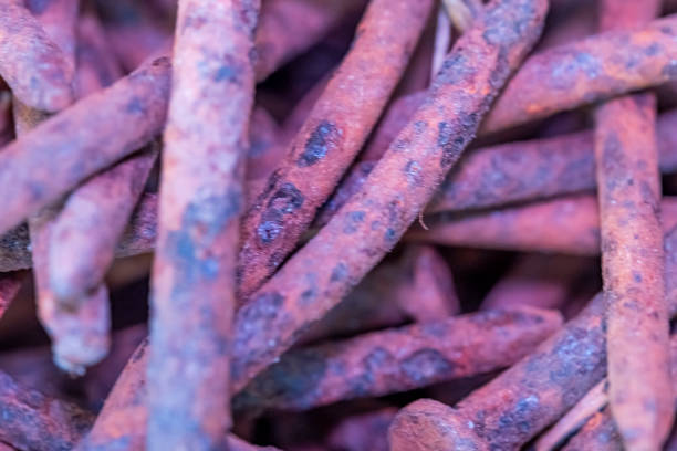 The rusty nails are twisted and bent, giving the image a sense of decay and abandonment. The colors are muted and the overall mood is somber
