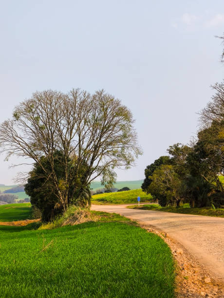 istock Dirt road and agriculture 2196465693