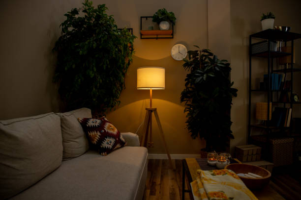 istock A Cozy Living Room that features Plants, Soft Textiles, and Warm Ambient Lighting 2196467399