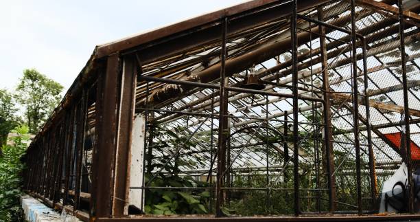 istock old abandoned greenhouse rusted metal structures overgrown grass wild plants atmospheric captures beauty decay showcasing forgotten architecture reclaimed by nature urban exploration derelict spaces 2196467855