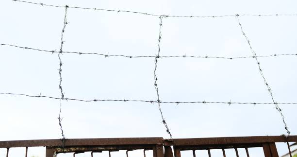 A weathered barbed wire fence, rusted over time, stretches across the frame with a stark contrast against a bright blue, cloudless sky concept of a prison deprivation of liberty.
