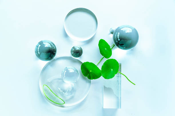 Elevate your skincare routine with natural ingredients and calming elements