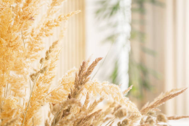 istock Beautiful display of dried flowers in a bright interior setting 2196471831