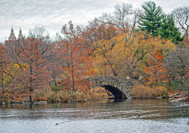istock Gapstow Bridge in Central Park in late autumn 2196475925