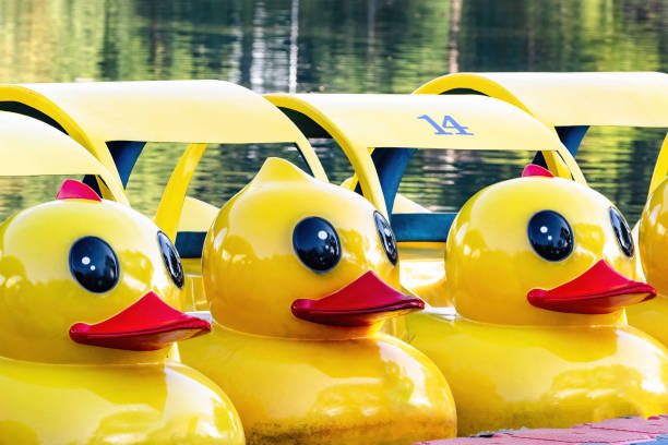 Paddle boats in the shape of yellow ducks. At the lake in Lumphini Park, downtown Bangkok.