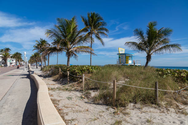 A bright morning at Hollywood Beach, Florida, showcasing the scenic boardwalk lined with palm trees and vintage-style street lamps. In the background, a colorful lifeguard tower stands on the sandy shore, adding a vibrant touch to this classic South Florida beach setting.