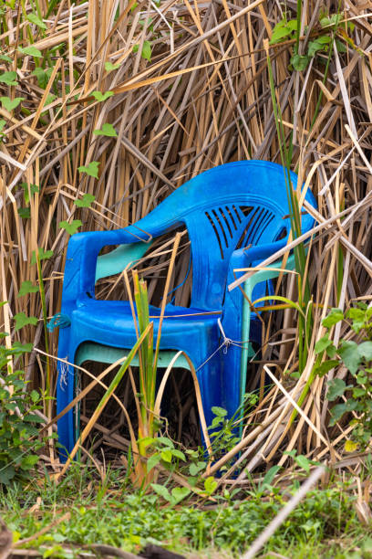 istock Blue Plastic Chair Surrounded by Nature and Tall Grass Outdoors 2196477437