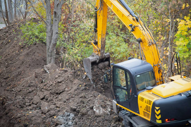 istock The excavator fills soil on a construction site surrounded by trees. 2196481480