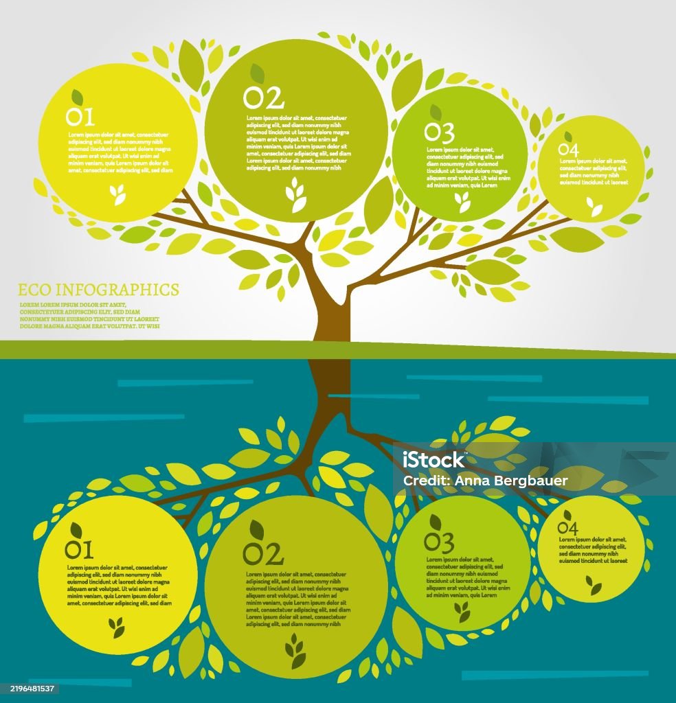 Bio Bio Tree Beautiful Bio Infographics With Tree And Water Reflection Stock ...