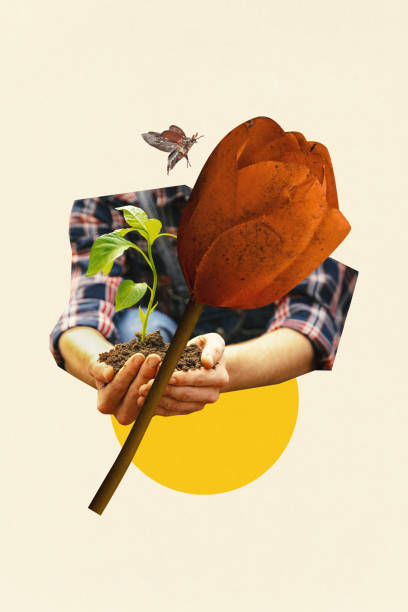istock Artistic collage. Hands with seedling, paired with giant flower and flying beetle against minimalistic background, symbolizing growth and nature. 2196483009