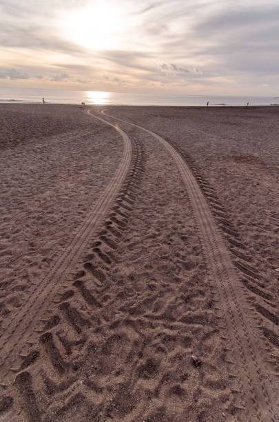 Wheel Tracks in the Sand of a Sandy Beach Desert