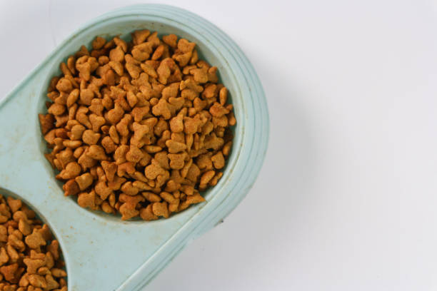 istock Dry cat food in plastic bowl isolated white background 2196486482