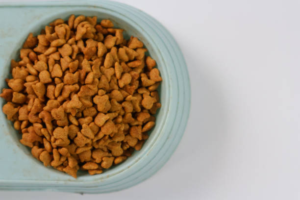 istock Dry cat food in plastic bowl isolated white background 2196486517