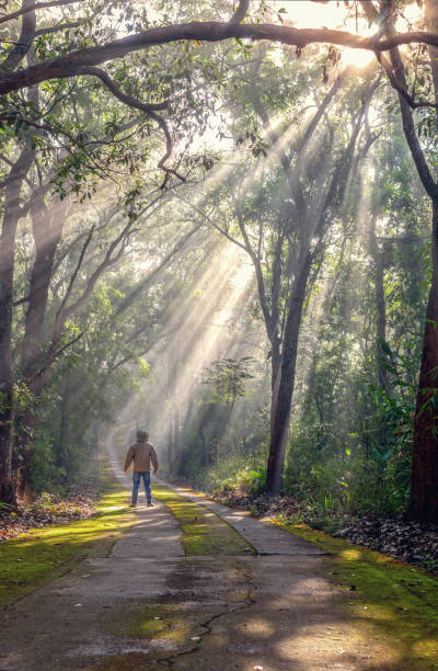 istock Man walking on trail forest Light Golden Autumn Fall 2196495931