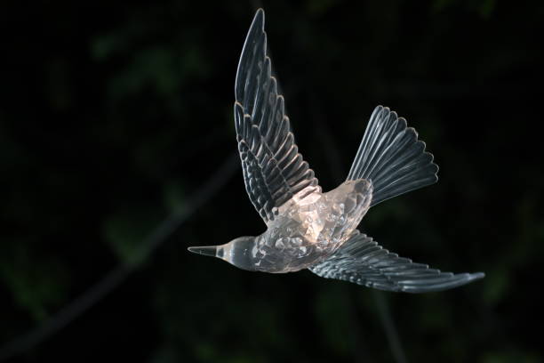 a bird playing with a toy