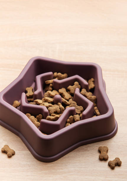 istock Slow feeder dog bowl preventing gulping and improving digestion 2196500920