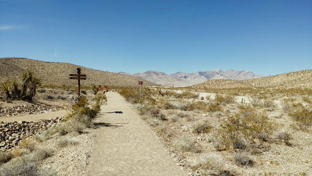 istock Goodsprings Ghost Town in Nevada 2196502453