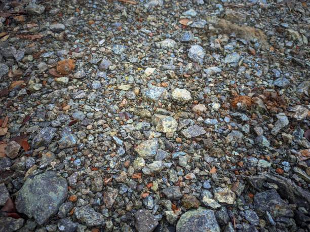 istock scattered pebbles, various shapes of pebbles, pointed and sharp pebbles 2196503720