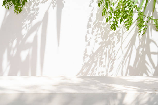 istock White table top with green leaves light and shadow on stucco wall texture background 2196503721