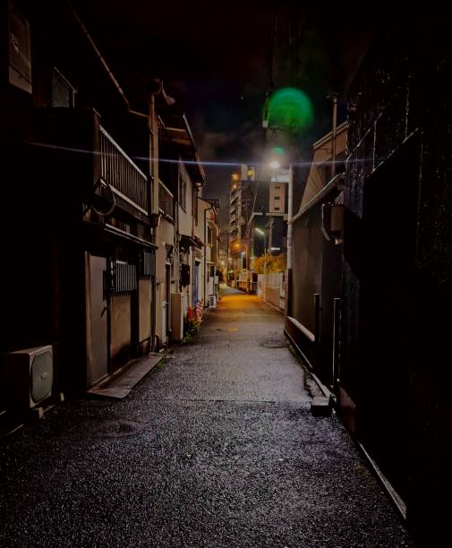 istock Ally of Osaka Japan 2196507488