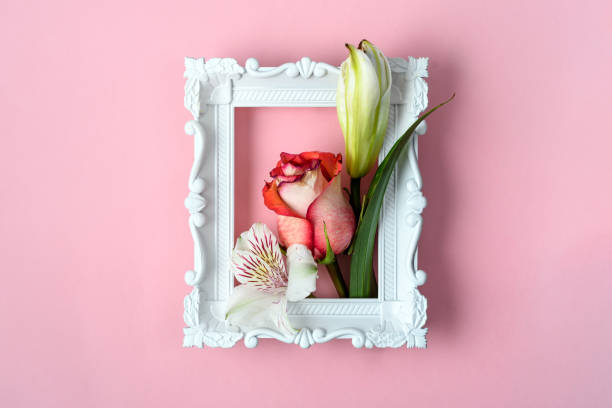 istock Classic white frame with a rose, lily bud, and white alstroemeria on pink, a gentle spring concept that blends romance and freshness. 2196509154