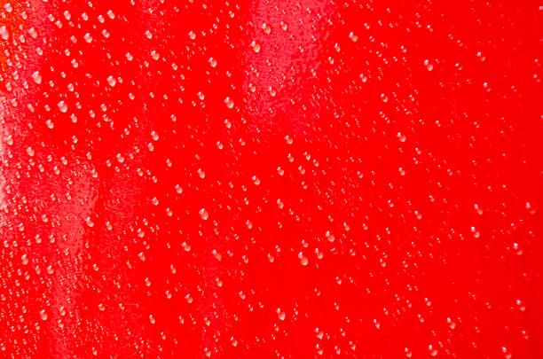 Glistening Water Droplets Spread Across a Bold Red Background