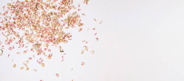istock Sustainable dried petals confetti. Zero waste festive background. 2196514986