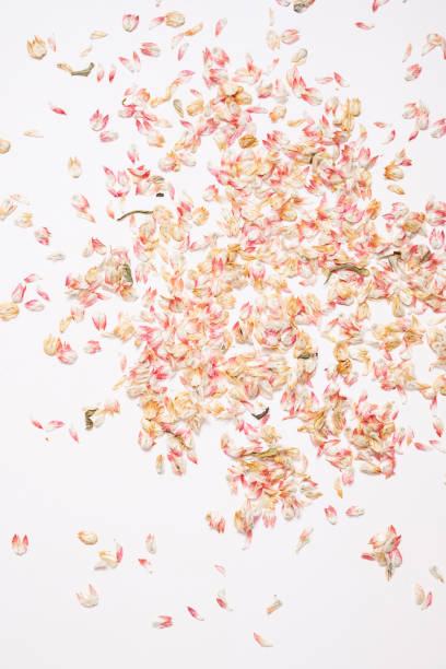 istock Sustainable dried petals confetti. Zero waste festive background. 2196514989