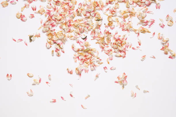 Sustainable dried petals confetti. Zero waste festive background.