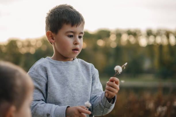istock A small child is joyfully playing outdoors amidst beautiful blooming cotton flowers and greenery 2196517852