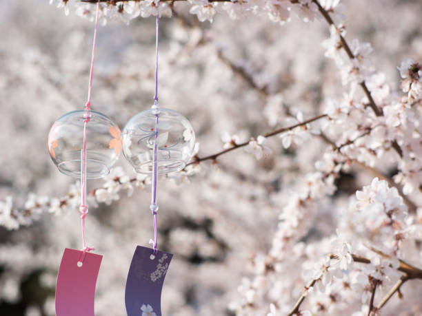 istock Spring blooming mountain peach blossoms plum blossoms cherry blossoms bees collecting nectar 2196519285