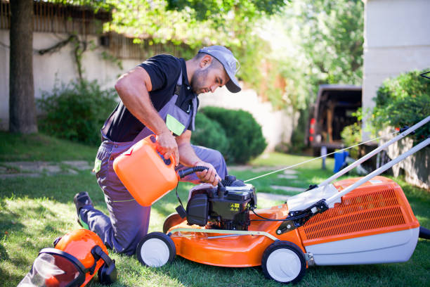 istock Professional Landscaper Trim With Pole Saw In Garden. 2196519552