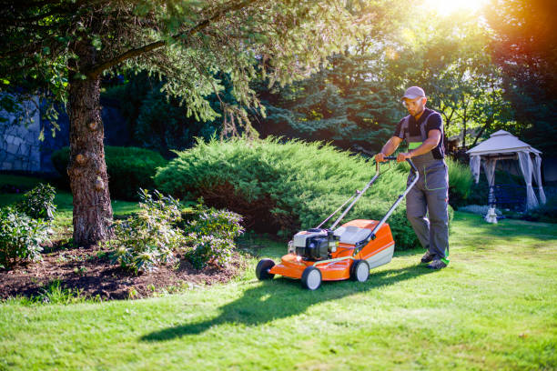 istock Professional Landscaper Trim With Pole Saw In Garden. 2196519559