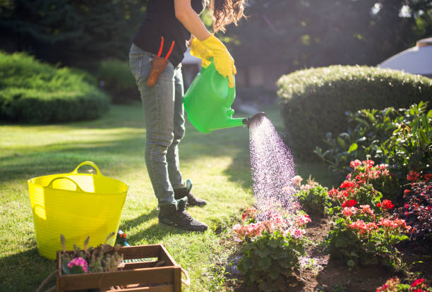 istock Woman is watering garden. 2196519560