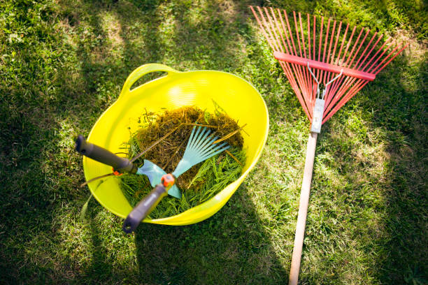 Gardening, different spring and summer flowers, gardening tools on meadow after cleaning the garden.