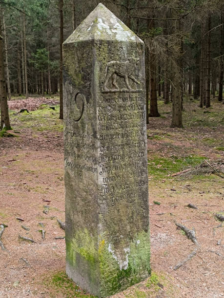 istock Wolf Column in Saxony - memorial stone to a wolf hunt in the Middle Ages. 2196520537